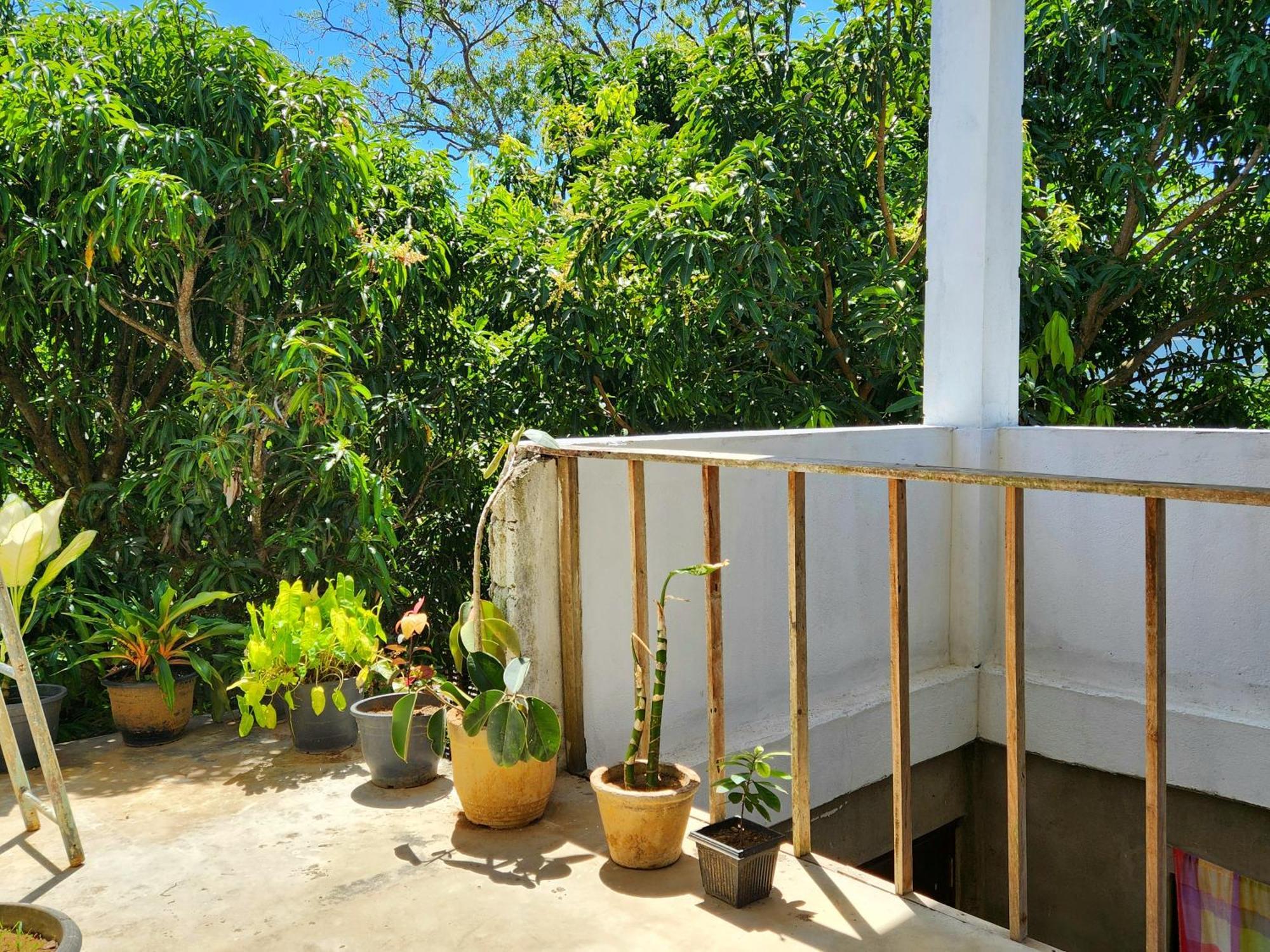 Sun Sea Guest Home แทนกาลเล ภายนอก รูปภาพ